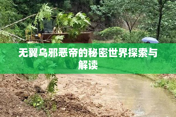 无翼乌邪恶帝的秘密世界探索与解读