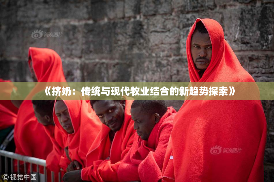 《挤奶：传统与现代牧业结合的新趋势探索》
