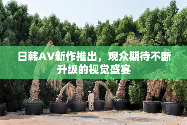 日韩AV新作推出，观众期待不断升级的视觉盛宴