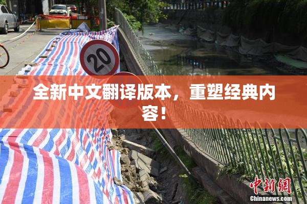全新中文翻译版本，重塑经典内容！