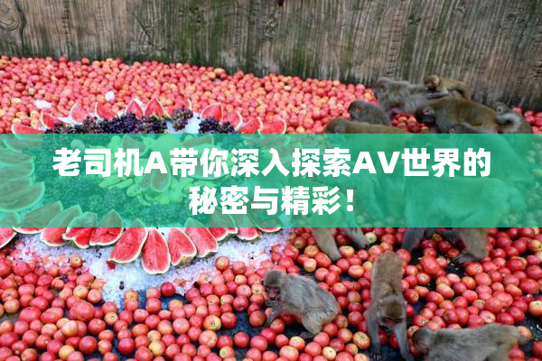 老司机A带你深入探索AV世界的秘密与精彩！