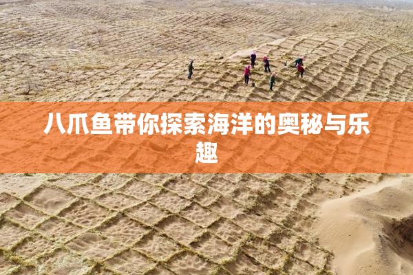 八爪鱼带你探索海洋的奥秘与乐趣