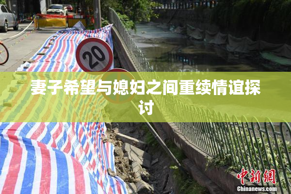 妻子希望与媳妇之间重续情谊探讨