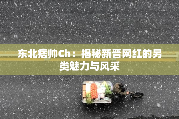东北痞帅Ch：揭秘新晋网红的另类魅力与风采