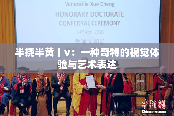 半挠半黄丨v：一种奇特的视觉体验与艺术表达