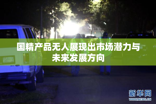 国精产品无人展现出市场潜力与未来发展方向