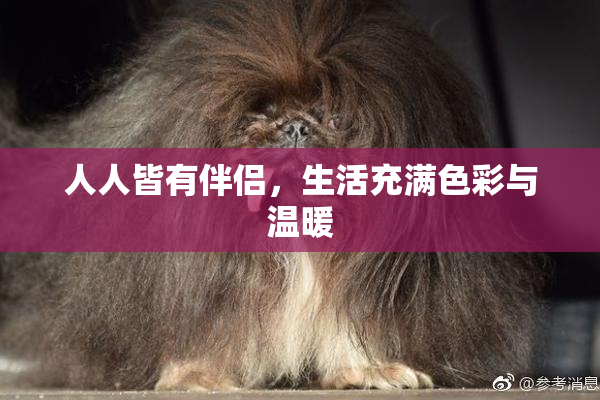 人人皆有伴侣，生活充满色彩与温暖