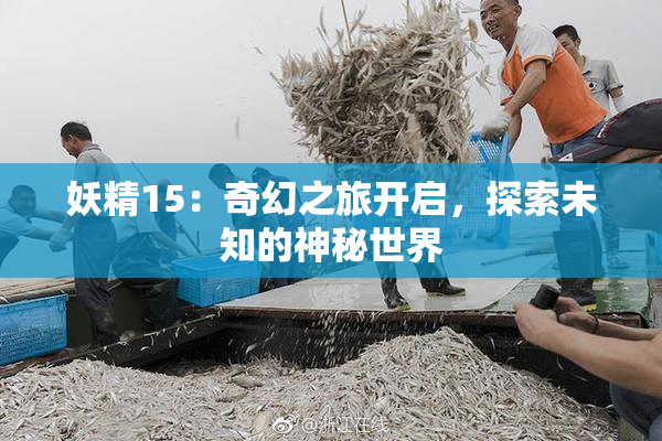 妖精15：奇幻之旅开启，探索未知的神秘世界