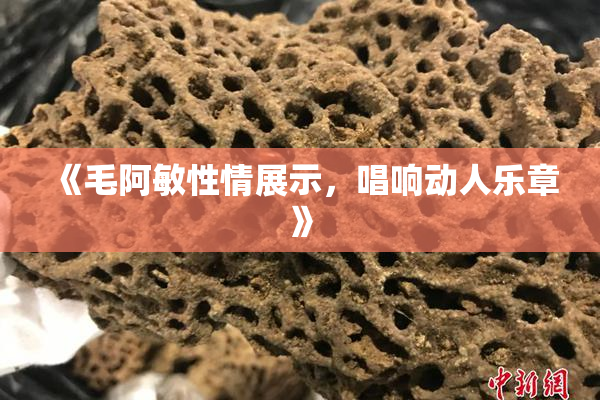 《毛阿敏性情展示，唱响动人乐章》