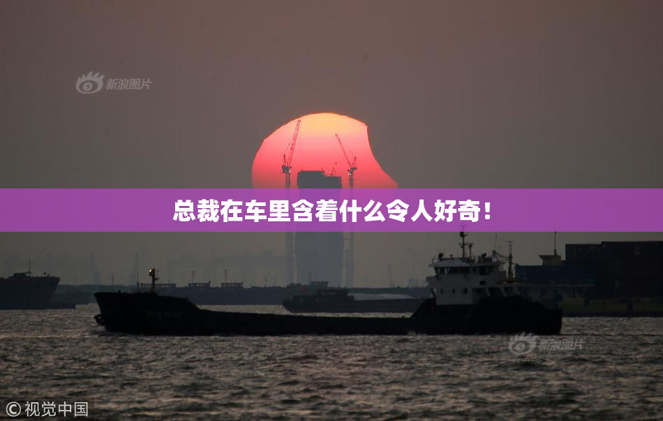 总裁在车里含着什么令人好奇！