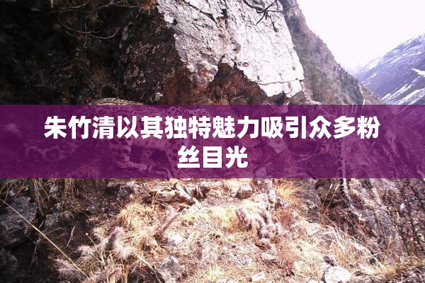 朱竹清以其独特魅力吸引众多粉丝目光