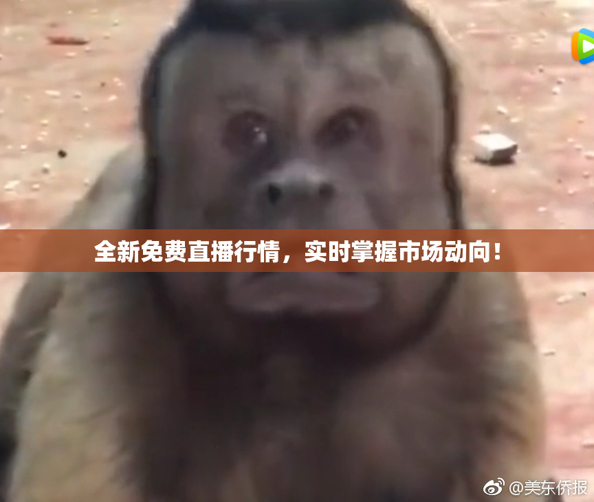 全新免费直播行情，实时掌握市场动向！
