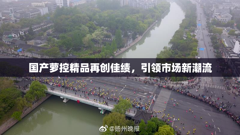 国产萝控精品再创佳绩，引领市场新潮流