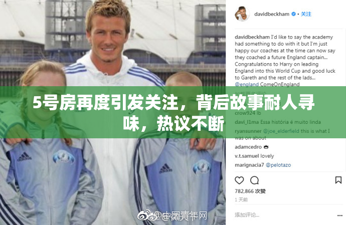 5号房再度引发关注，背后故事耐人寻味，热议不断