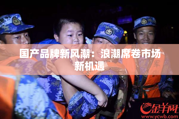 国产品牌新风潮：浪潮席卷市场新机遇