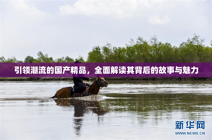 引领潮流的国产精品，全面解读其背后的故事与魅力