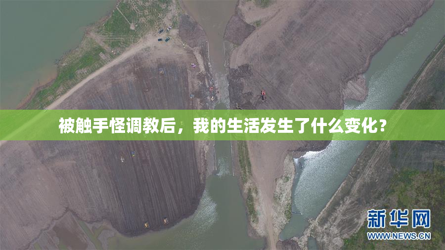 被触手怪调教后，我的生活发生了什么变化？