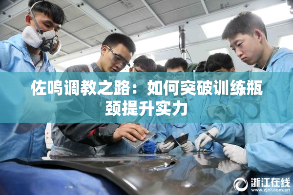 佐鸣调教之路：如何突破训练瓶颈提升实力