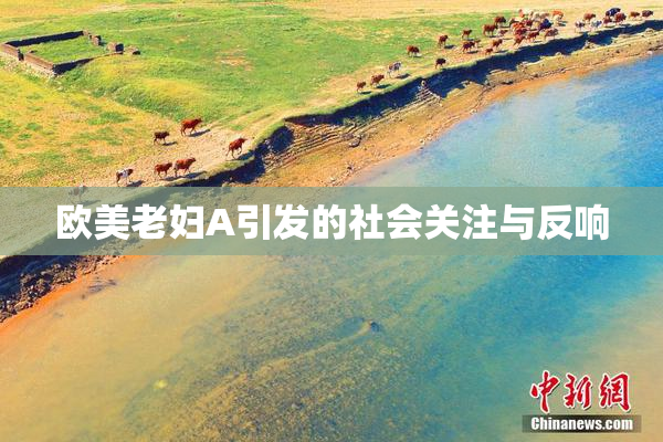 欧美老妇A引发的社会关注与反响