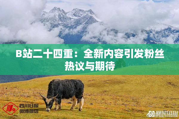B站二十四重：全新内容引发粉丝热议与期待