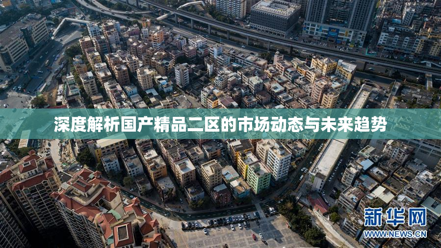 深度解析国产精品二区的市场动态与未来趋势