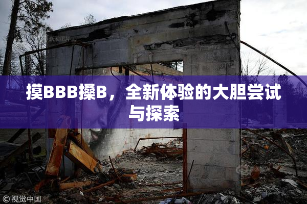 摸BBB搡B，全新体验的大胆尝试与探索