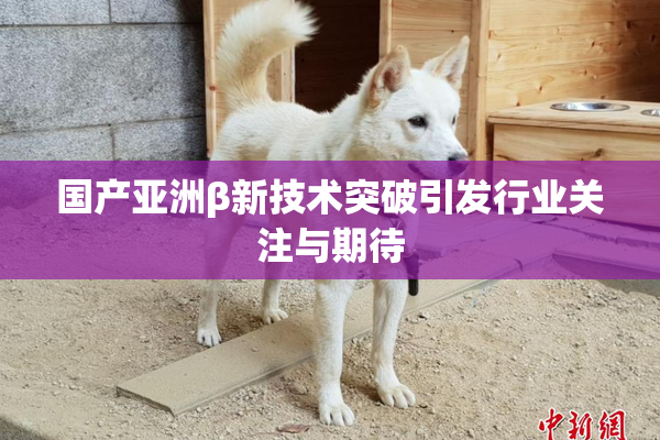 国产亚洲β新技术突破引发行业关注与期待