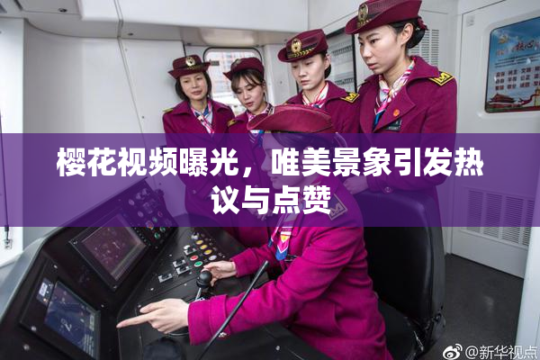 樱花视频曝光，唯美景象引发热议与点赞