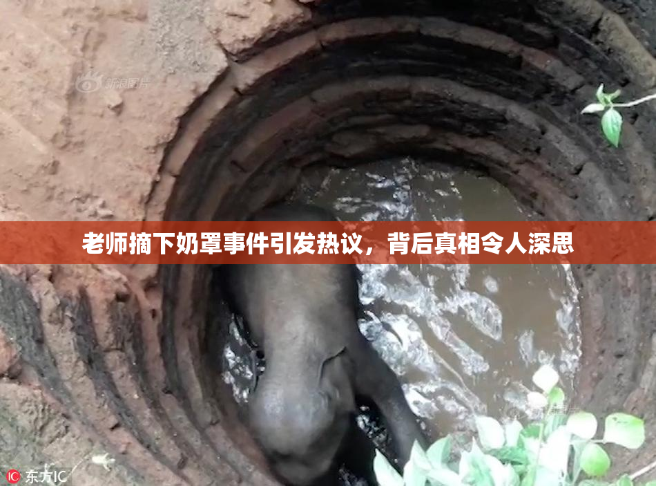 老师摘下奶罩事件引发热议，背后真相令人深思