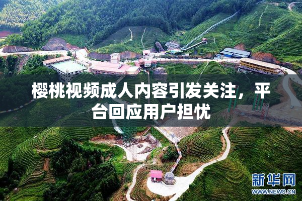 樱桃视频成人内容引发关注，平台回应用户担忧