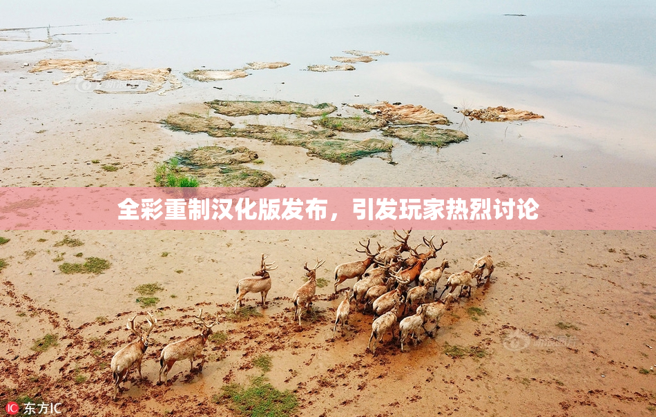 全彩重制汉化版发布，引发玩家热烈讨论