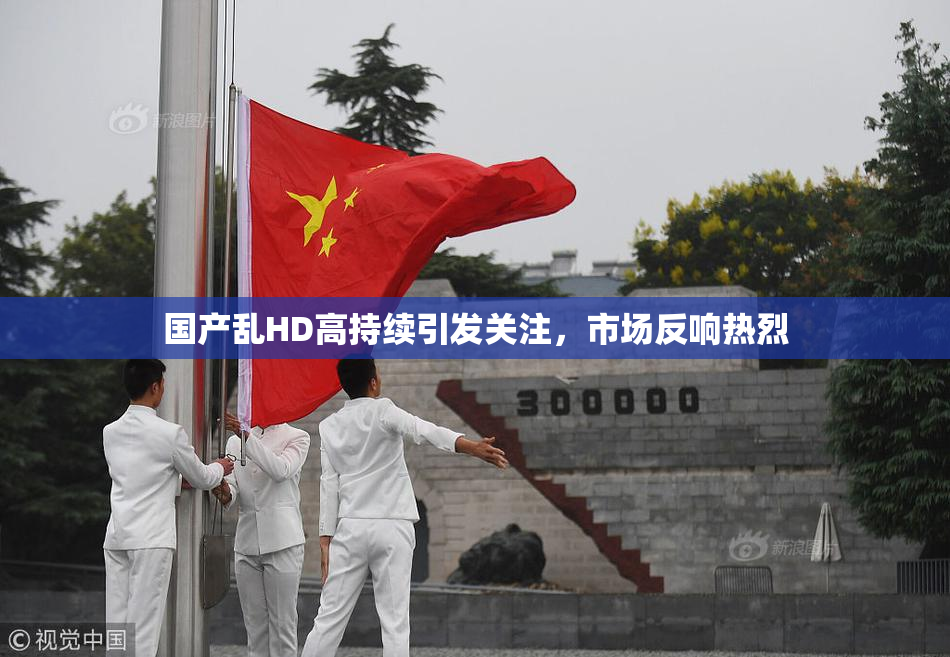 国产乱HD高持续引发关注，市场反响热烈