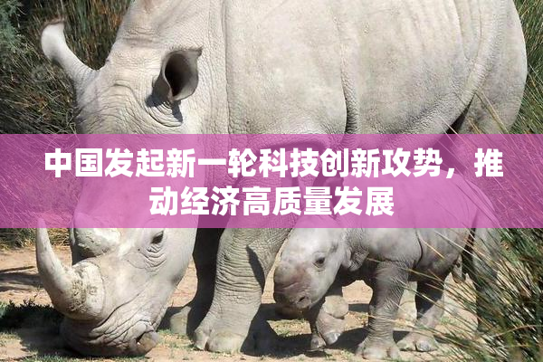 中国发起新一轮科技创新攻势，推动经济高质量发展
