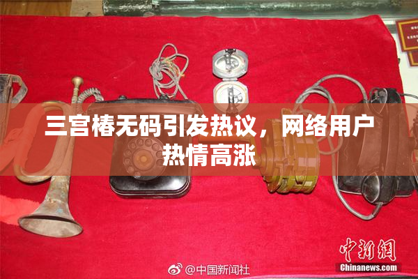 三宫椿无码引发热议，网络用户热情高涨