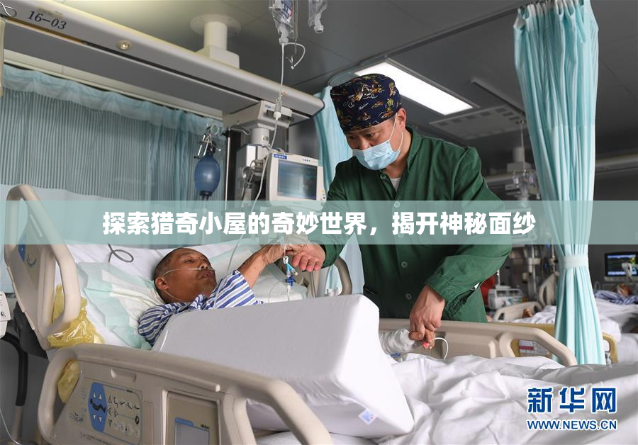 探索猎奇小屋的奇妙世界，揭开神秘面纱