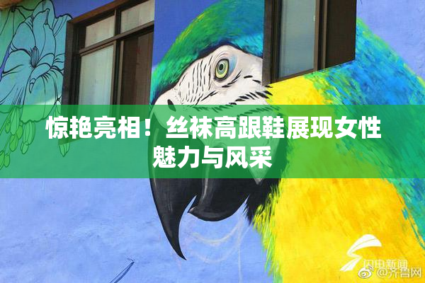 惊艳亮相！丝袜高跟鞋展现女性魅力与风采