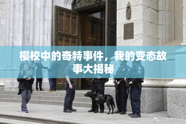 樱校中的奇特事件，我的变态故事大揭秘