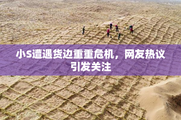 小S遭遇货边重重危机，网友热议引发关注