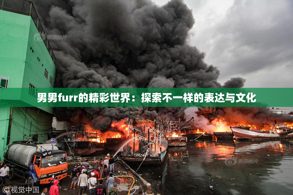 男男furr的精彩世界：探索不一样的表达与文化