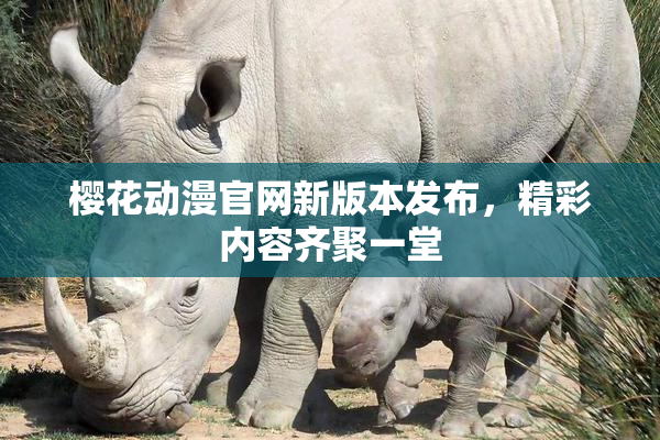 樱花动漫官网新版本发布，精彩内容齐聚一堂