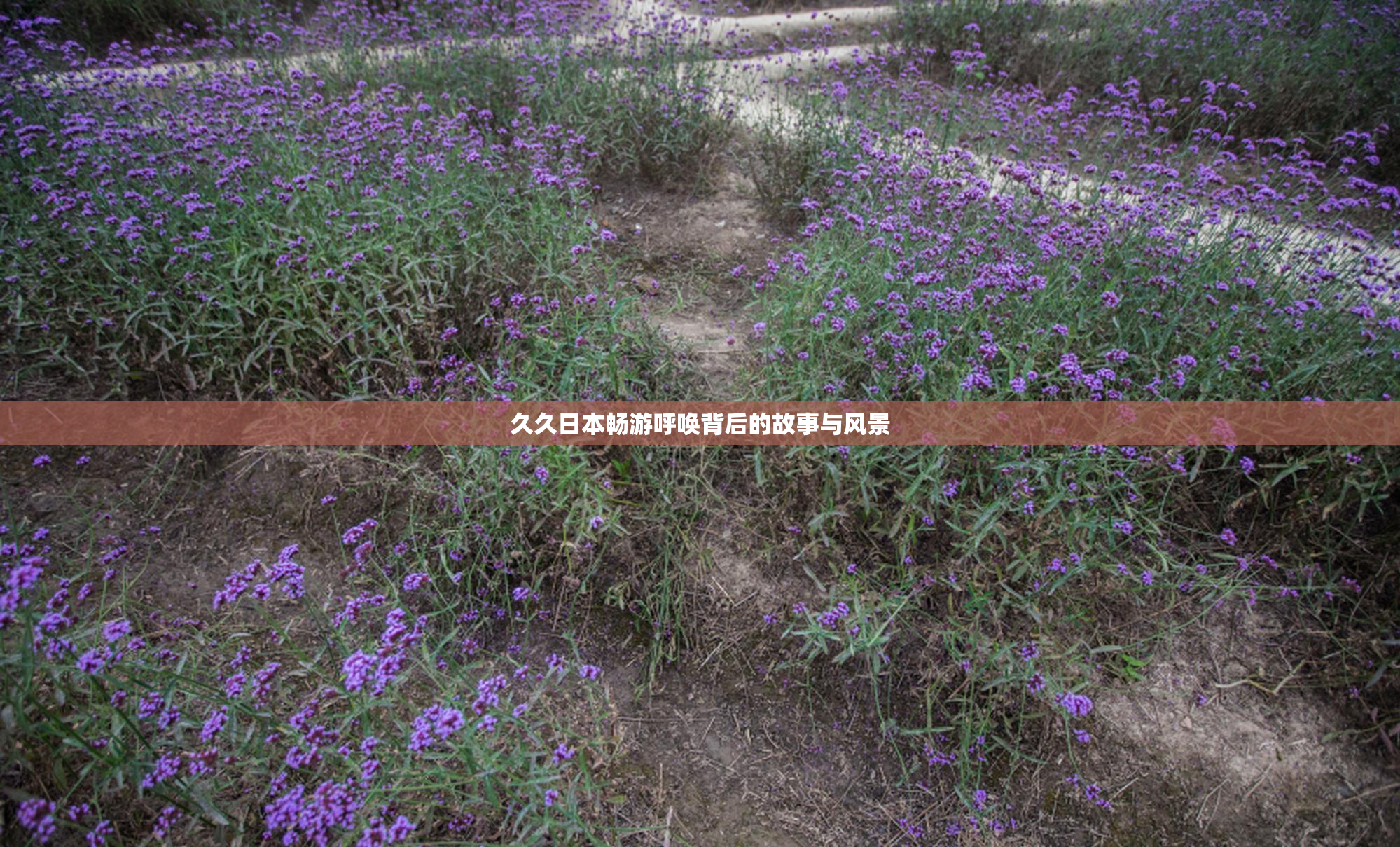 久久日本畅游呼唤背后的故事与风景