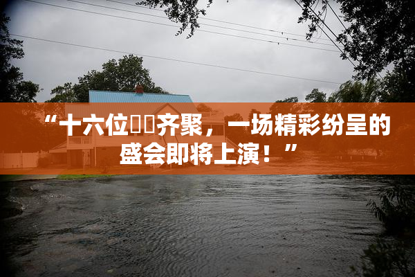 “十六位妺妺齐聚，一场精彩纷呈的盛会即将上演！”