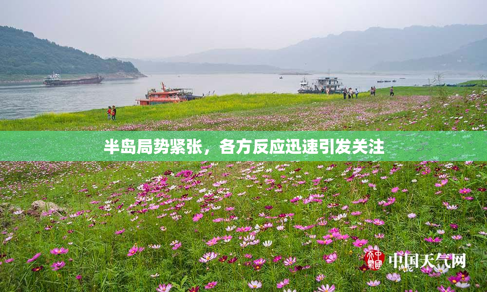 半岛局势紧张，各方反应迅速引发关注