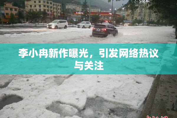 李小冉新作曝光，引发网络热议与关注
