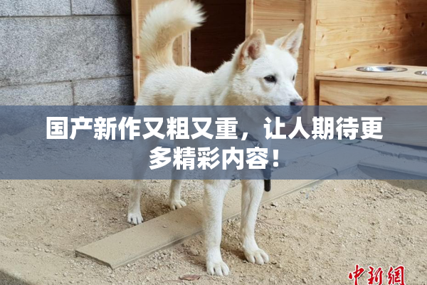 国产新作又粗又重，让人期待更多精彩内容！
