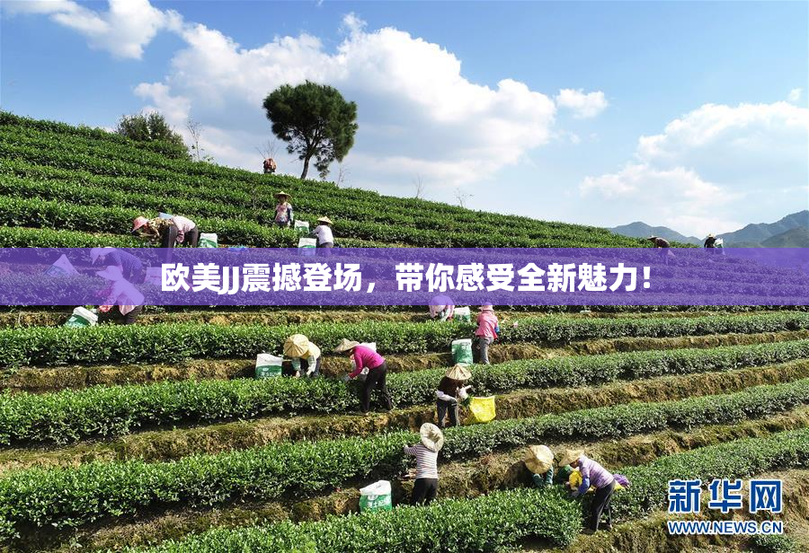 欧美JJ震撼登场，带你感受全新魅力！