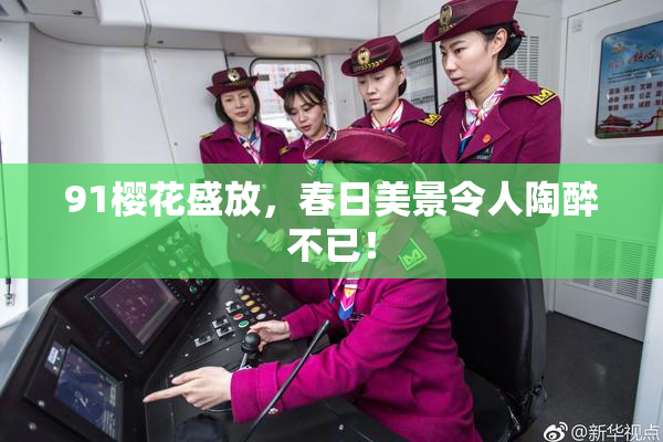 91樱花盛放，春日美景令人陶醉不已！