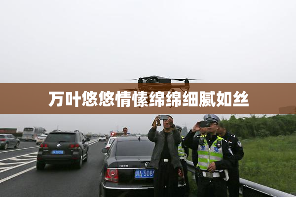 万叶悠悠情愫绵绵细腻如丝