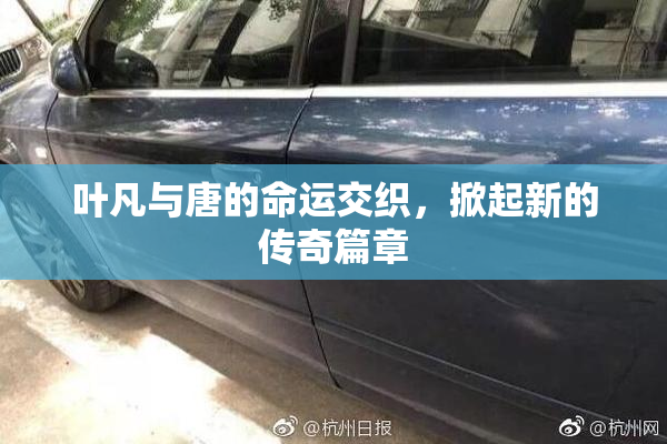 叶凡与唐的命运交织，掀起新的传奇篇章