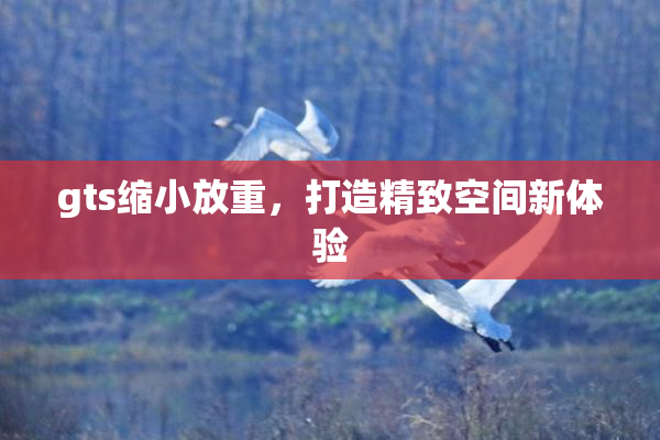 gts缩小放重，打造精致空间新体验